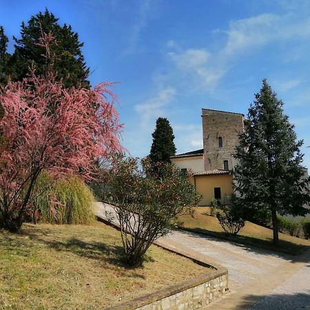 Casa Per Ferie Ulivo D'Assisi Villa Exterior foto