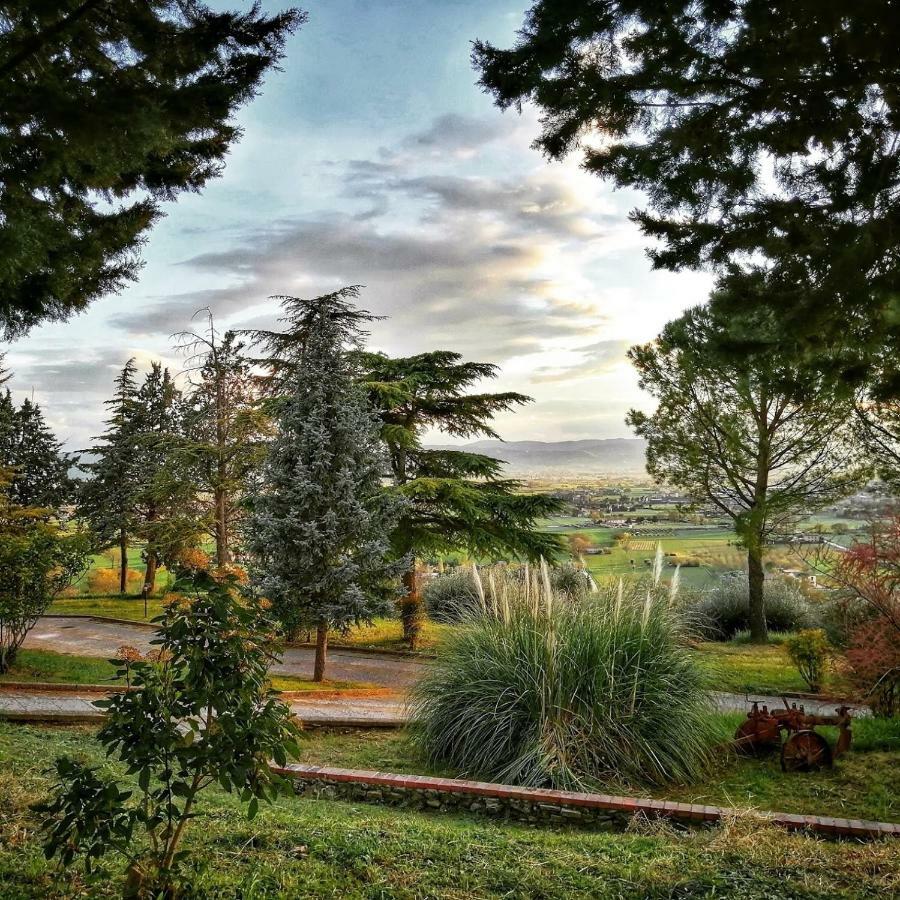 Casa Per Ferie Ulivo D'Assisi Villa Exterior foto