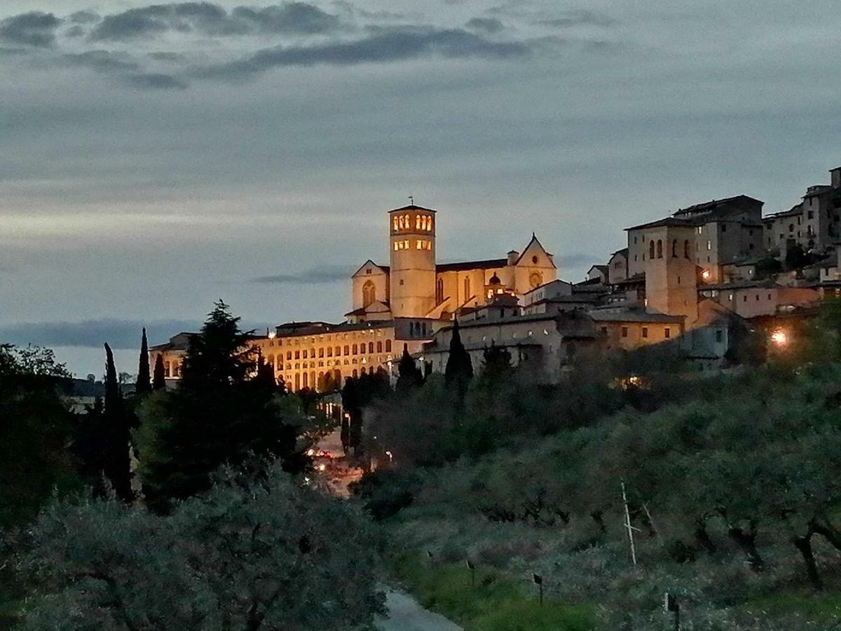 Casa Per Ferie Ulivo D'Assisi Villa Exterior foto