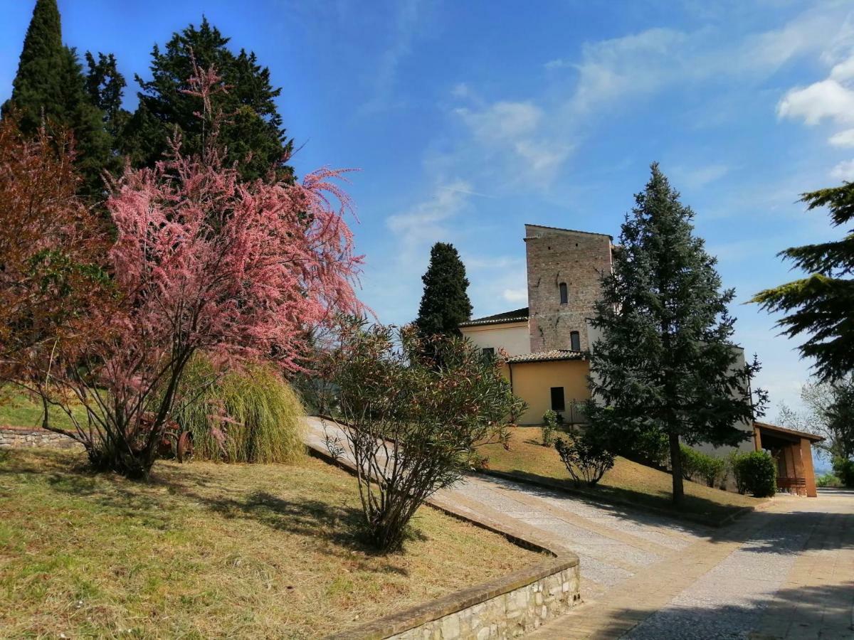 Casa Per Ferie Ulivo D'Assisi Villa Exterior foto